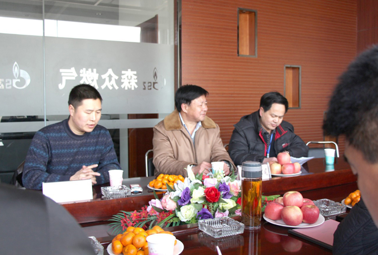 林口县政府与成都晨曦企业形象与互动有限公司燃气项目洽谈.png